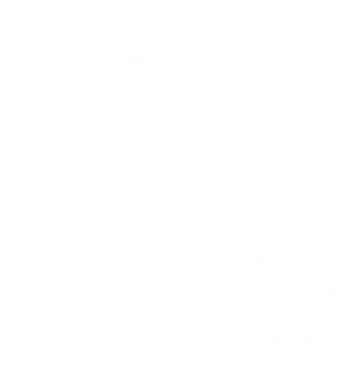 Robert Stöckl Logo